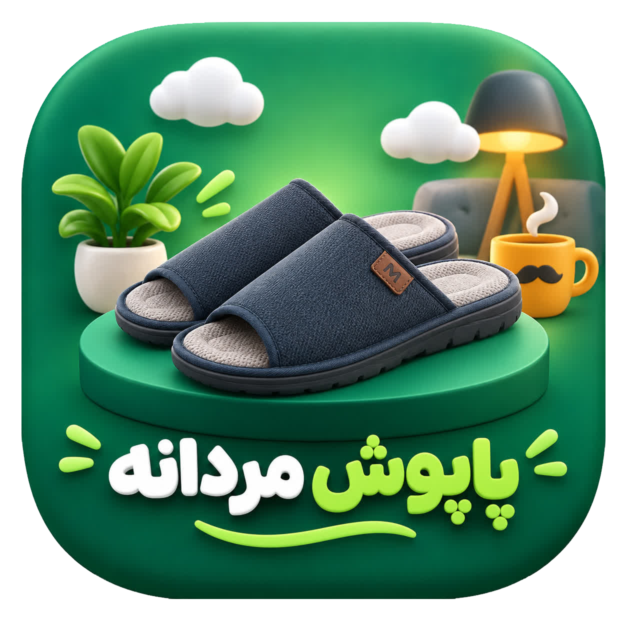 پاپوش مردانه
